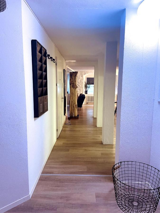 Air Bnbar N°13 Σαφχάουζεν Εξωτερικό φωτογραφία
